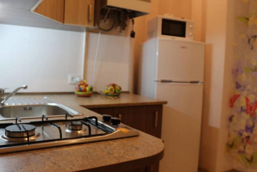 Horodotska 60 Apartment Liov Exterior foto